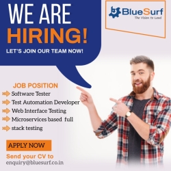 Test Automation Developer
