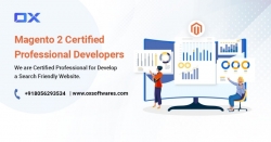 Magento 2 Development Agency | OX SoftwareS
