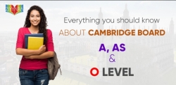 Instant Access Online Tuition for A Level Course with Ziyyara