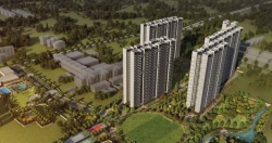 Prestige Park Grove