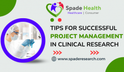 Tips for Successful Project Management