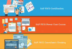 SAP FICO Institute in Preet Vihar Delhi, SLA Institute, Accounting, Taxation, Tally & GST Certification, Free Demo Classes with 100% Job