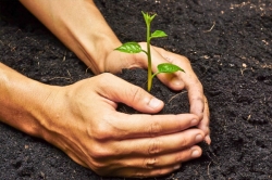 Best Vermicompost in Chennai | Vermicompost in Chennai